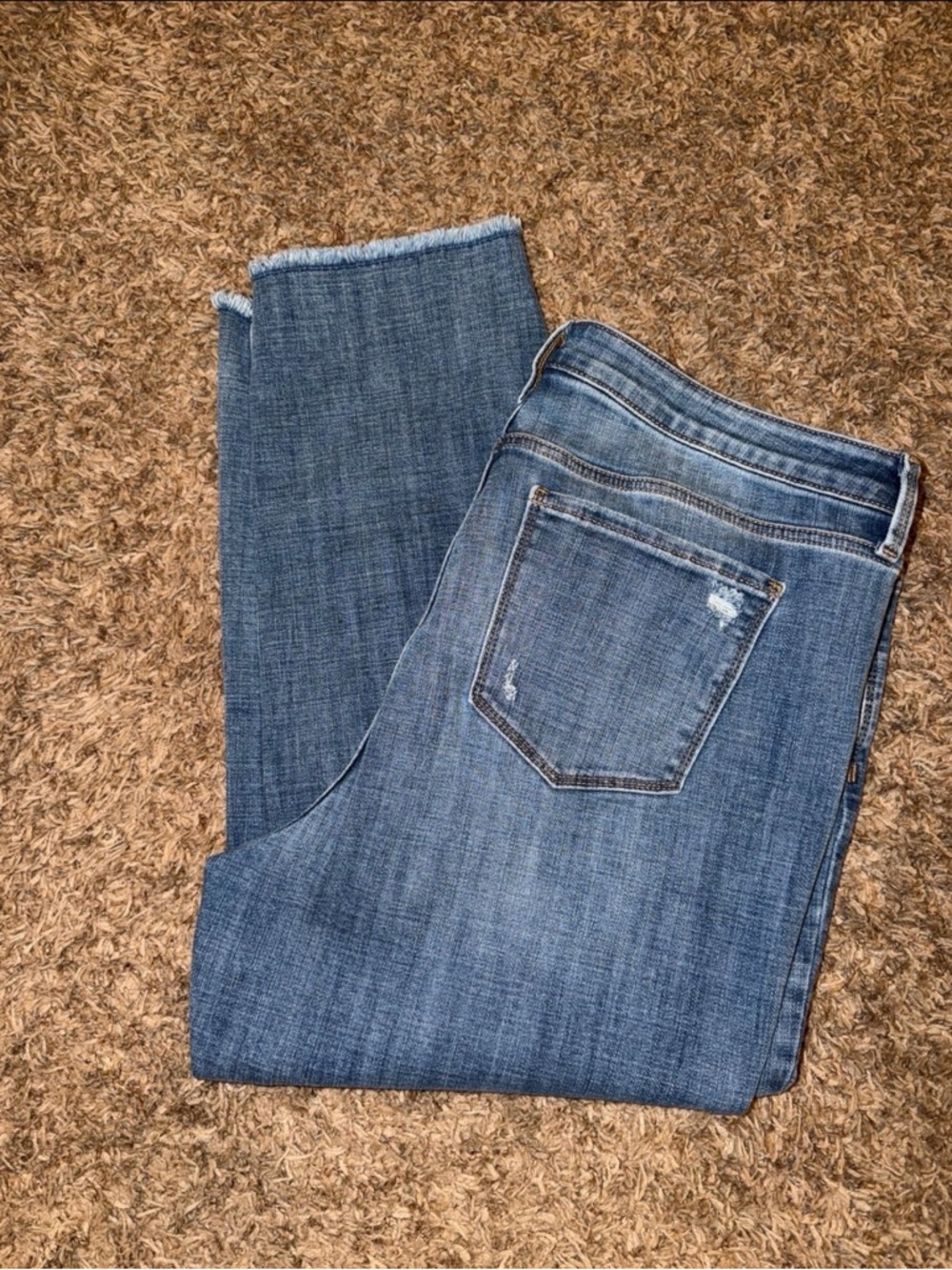 Cosmic Blue Love Cropped Jeans with Frayed Hem 16W